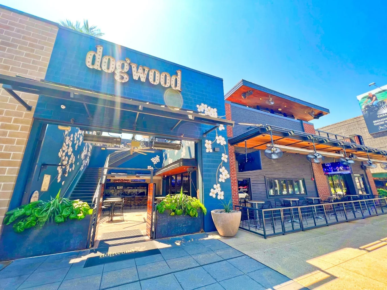 Dogwood Domain